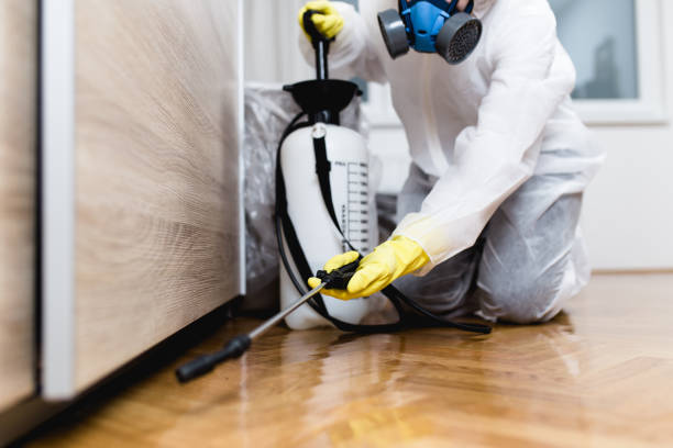 Best Best Pest Control Companies  in Springfield, FL