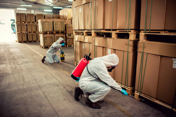 Best Cockroach Control Services  in Springfield, FL