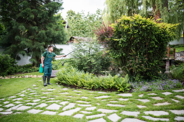 Best Commercial Pest Control Services  in Springfield, FL