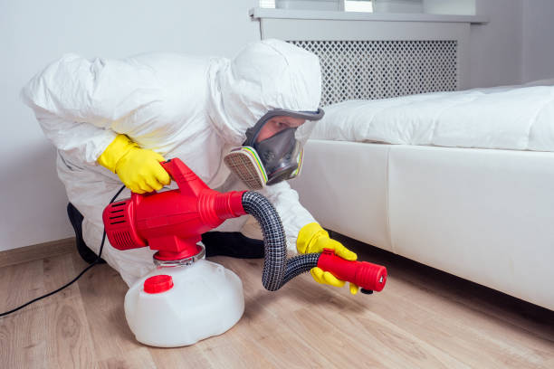 Best Mosquito Control Services  in Springfield, FL