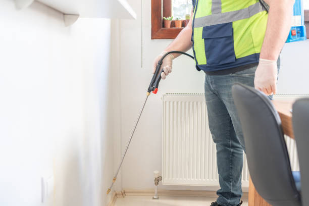 Best Affordable Pest Control Services  in Springfield, FL
