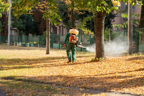 Best Residential Pest Control  in Springfield, FL