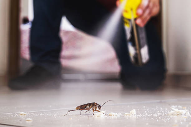 Springfield, FL Pest Control Company